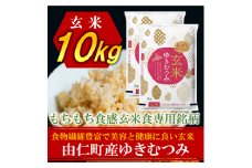 TT15　ゆきむつみ　10kg（5㎏×2個）