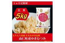 TT12　【3カ月定期】ゆきむつみ　5kg　計15㎏