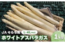 春一番！JAそらち南の味覚「ホワイトアスパラガス」L～4L 1kg前後　C012