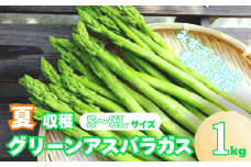 北海道産 夏採り！JAそらち南 夏の味覚「グリーンアスパラガス」S～3L 1kg前後　C014