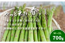 北海道産「春一番！グリーンアスパラガス」M・Lサイズ以上700g　B030