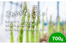 北海道産「夏採れ！北海道アスパラガス」700g　B031
