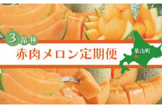 北海道産赤肉メロン3種定期便（1玉×3ヶ月）　H025