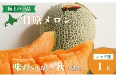 極上の一品「日原メロン（レッド種）」（1.7kg相当×1玉 ）　C041