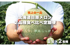 極上の一品「日原メロン」1玉×2品種食べ比べ定期便 北海道産赤肉メロン　F013