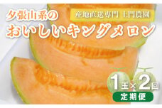 夕張山系のおいしいメロン（1玉×2回定期便）　F014