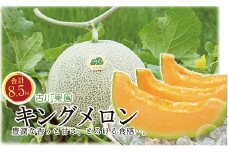 豊潤な香り「特選甘熟キングメロン」北海道産どっさり8.5kg!!　H023