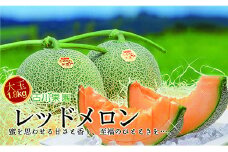 甘～い贅沢「特選甘熟レッドメロン」北海道産どっさり8.5kg!!　H024