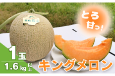 とろける舌触り！北海道栗山町東山農場産キングメロン 1玉　C079