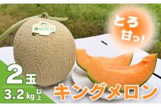 とろける舌触り！北海道栗山町東山農場産キングメロン 2玉　D040
