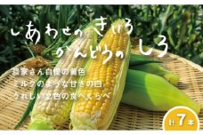 大地の恵み「とうもろこし2色セット」7本　北海道 栗山町 産地直送　B034