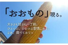 北海道栗山町産 スイートコーンその名は「おおもの」5本　C047