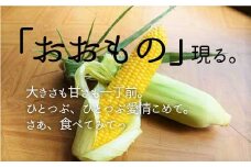 北海道栗山町産 スイートコーンその名は「おおもの」20本　E006
