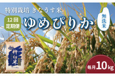 【無洗米12ヶ月定期便】特別栽培「きなうす米」北海道産ゆめぴりか10kg×12回　U002