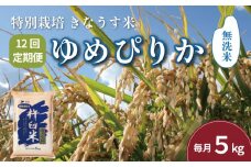 【無洗米12ヶ月定期便】特別栽培「きなうす米」北海道産ゆめぴりか5kg×12回　P011