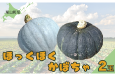 北海道栗山町産 ほっくほくかぼちゃ 2玉　C048