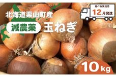 【12月発送】越冬用減農薬玉ねぎ10kg　A004