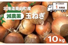 【2026年1月発送】越冬用減農薬玉ねぎ10kg　A005