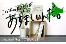 北海道育ちの木材を使った宮大工特製 「キューブBOX S」　B003