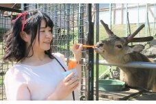 栗山公園「なかよし動物園」パクパクタイム回数券（6回分）2枚セット　B007