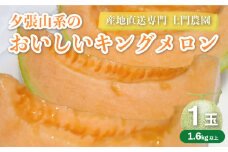 夕張山系のおいしいキングメロン1玉 北海道産　C045