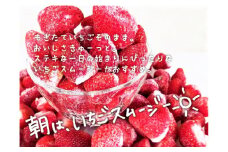 ファームうかわの冷凍いちご1kg　B010