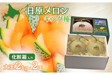 大玉「日原メロン（キング種）」（2.0kg相当×2玉）カラー化粧箱入り　F009