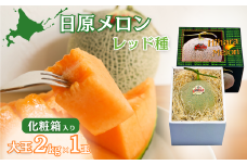 大玉「日原メロン（レッド種）」（2.0kg相当×1玉 北海道産）カラー化粧箱入り　D019