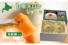大玉「日原メロン（レッド種）」（2.0kg相当×2玉）カラー化粧箱入り　F010