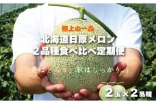 極上の一品「日原メロン」2玉×2品種食べ比べ定期便 北海道産赤肉メロン　H019