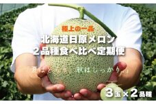 極上の一品「日原メロン」3玉×2品種食べ比べ定期便 北海道産赤肉メロン　J004