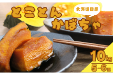 とことんかぼちゃ　10kg相当（イーテイ種　5～6玉入）　C043