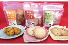 水上農園 「手作りクッキー詰め合わせ」セット　C023