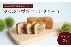 たっぷり栗のパウンドケーキ 約300g×2本　C028