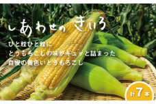 大地の恵み「とうもろこし（イエロー）」7本　北海道 栗山町 産地直送　B032