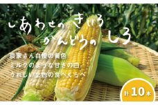 大地の恵み 「とうもろこし2色セット」10本　北海道 栗山町 産地直送　C081