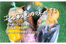 大地の恵み 「秋の味覚！味わいセット」　B036