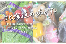 直売所直送「夏・秋野菜定期便」4回　H028
