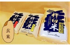 特別栽培「きなうす米」セット（玄米）3品種9kg　E014