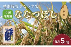 【玄米6ヶ月定期便】特別栽培「きなうす米」ななつぼし5kg×6回　K006