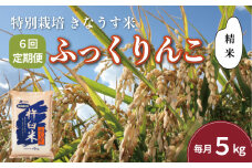 【精米6ヶ月定期便】特別栽培「きなうす米」ふっくりんこ5kg×6回　K007