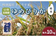 【精米12ヶ月定期便】特別栽培「きなうす米」ゆめぴりか10kg×12回　U001