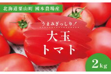 北海道栗山町産 うまみぎっしり大玉トマト ２kg　B044