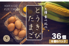 北海道産たまごを食べ比べ「とうきびたまご３種」６個入×６パック　酒井農場　C099