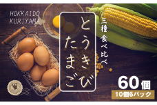 北海道産たまごを食べ比べ「とうきびたまご３種」10個入×6パック 酒井農場　D061