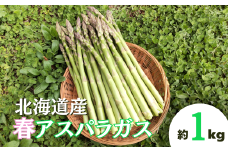 北海道栗山町産 春アスパラ 1kg程度 池田農林　D064