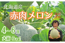北海道栗山町産 幻のメロン 大箱（4～6玉 計8kg程度）　H031