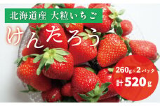 【期間限定】おがファームの道産子大粒いちご「けんたろう」520g　D068