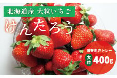 【100組限定】おがファームの道産子大粒いちご「けんたろう」400g　E026