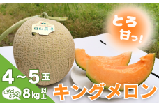 たっぷりお届け！北海道栗山町東山農場産キングメロン8kg　H032